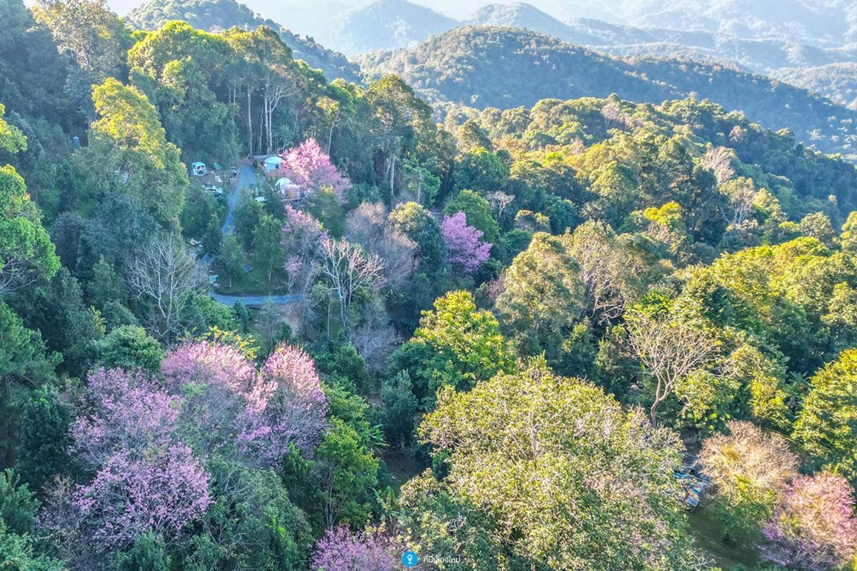Отель Nam Dun Glamping-น้ำดั้นแกลมปิ้ง Ban Pang Bo Hu Bon Экстерьер фото